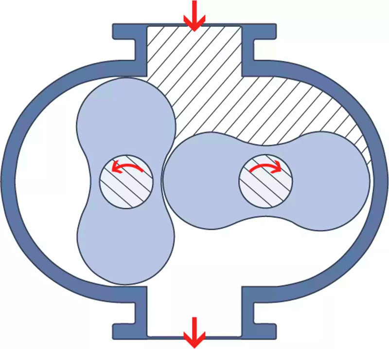 Schematic cross section of Roots pump